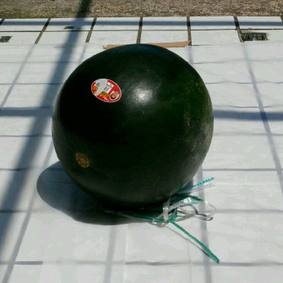 imgG53389489_1470409531593